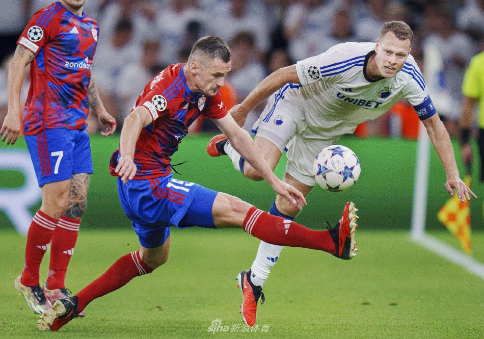 球队的板凳 球队的板凳